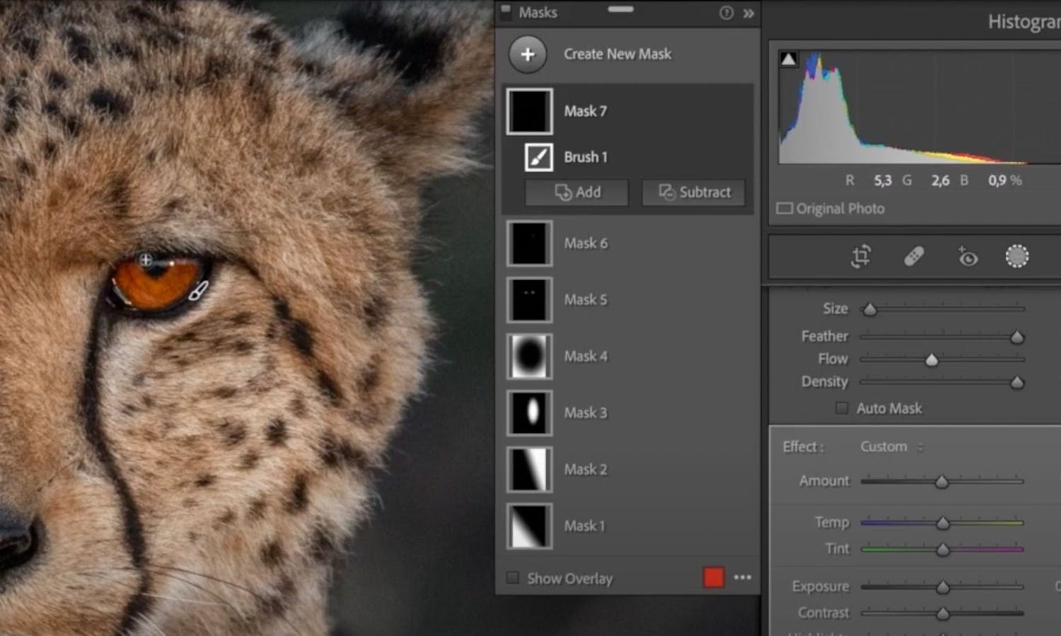 Silmien käsittely Lightroomissa. Katseesta tulee intensiivisempi, kun silmien väriä korostetaan.